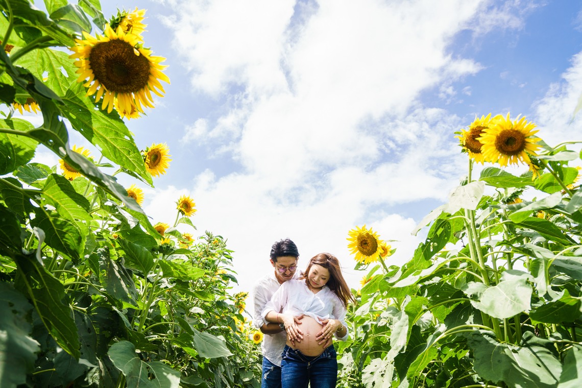 アトリエ　エピカ/清水　一哉が撮影したマタニティフォトのアルバム「ひまわり畑　マタニティ」