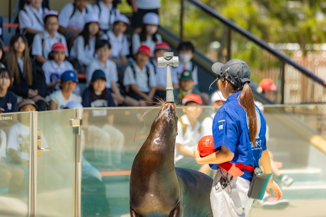 武内ピクチャーズが撮影した写真のアルバム「スクールフォト(小学校修学旅行)」