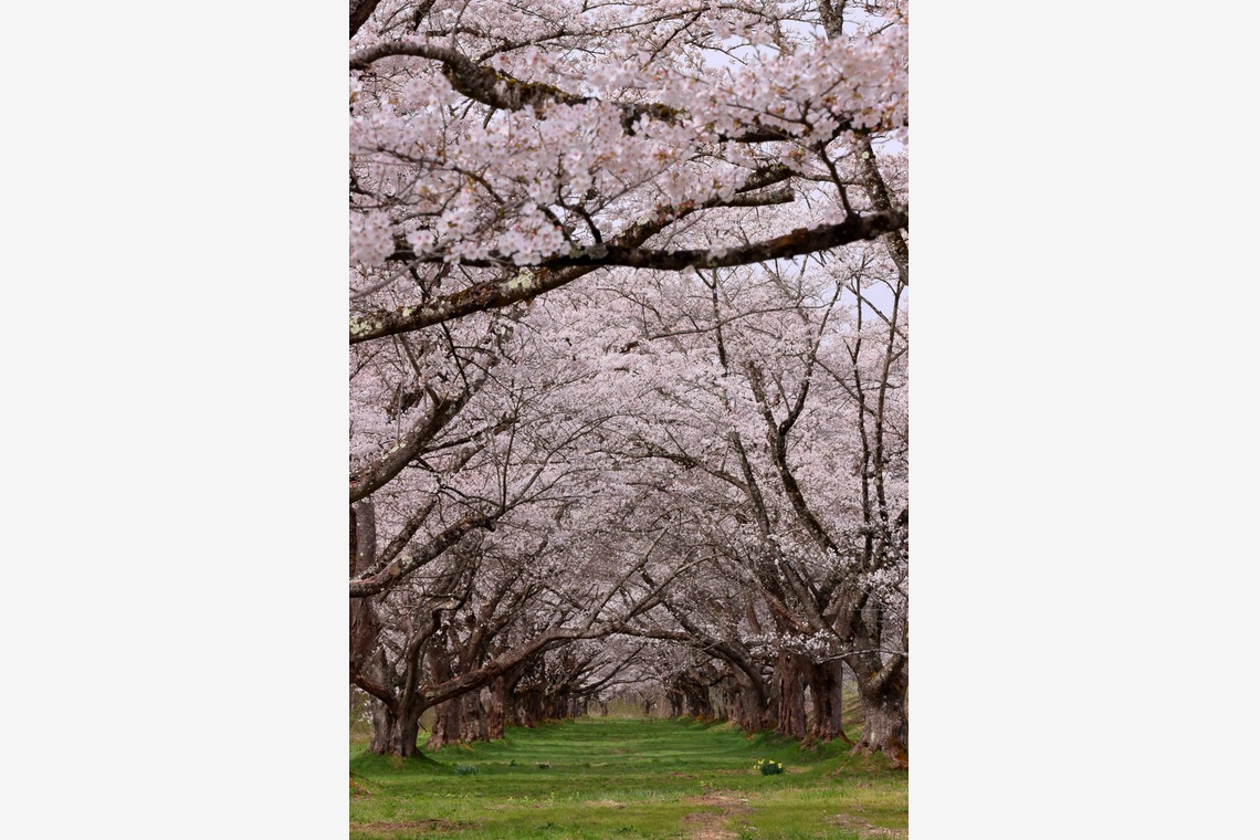 溝口崇が撮影した写真のアルバム「風景写真」
