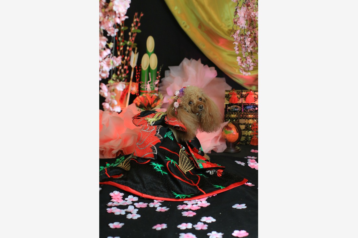 高橋 透（Coo&Sea STUDIO代表）が出張撮影した家族写真(キッズ,ベビーフォト)などが写った「お正月撮影会2020@新横浜Coo&Sea STUDIO」の家族写真