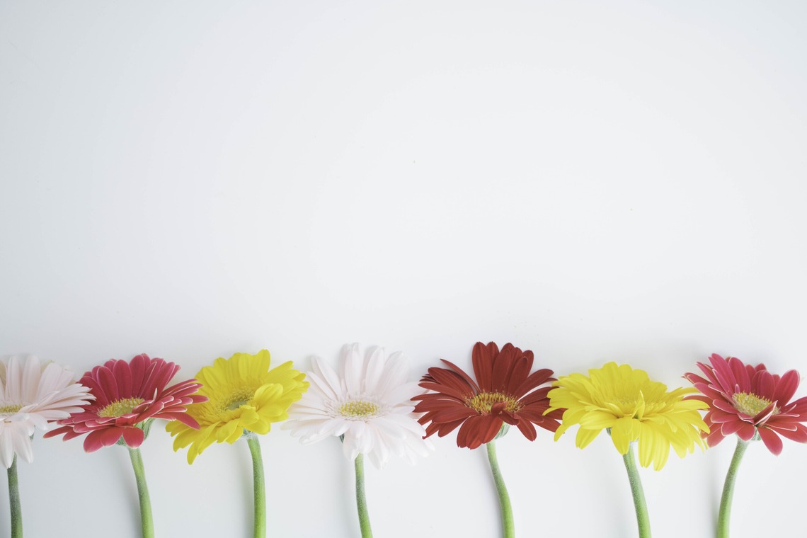ミヤタカズコが撮影した写真のアルバム「花のある生活」
