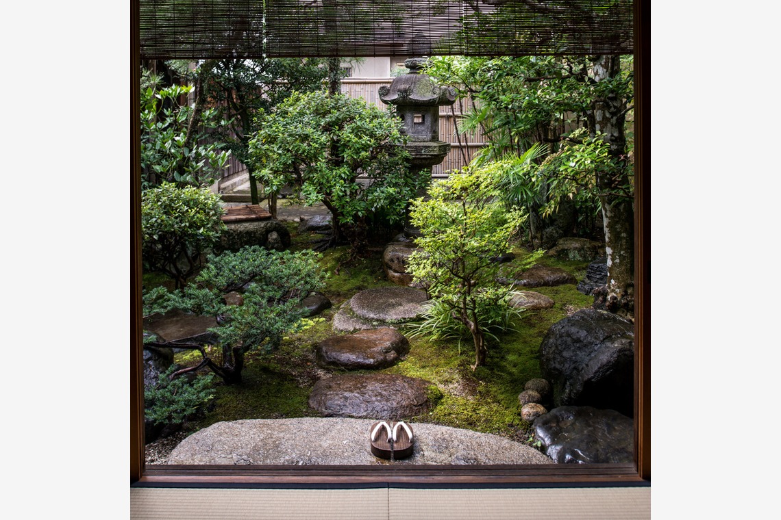 スタジオ桜が撮影した「伝統文化（茶道）」の写真