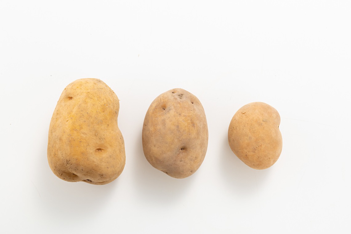 田畠久美子が撮影した「料理・商品物撮り」の写真