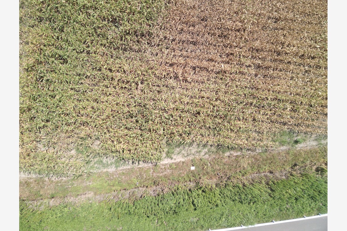 アナハイムエレクトロニクスが撮影した写真のアルバム「震災農地調査」