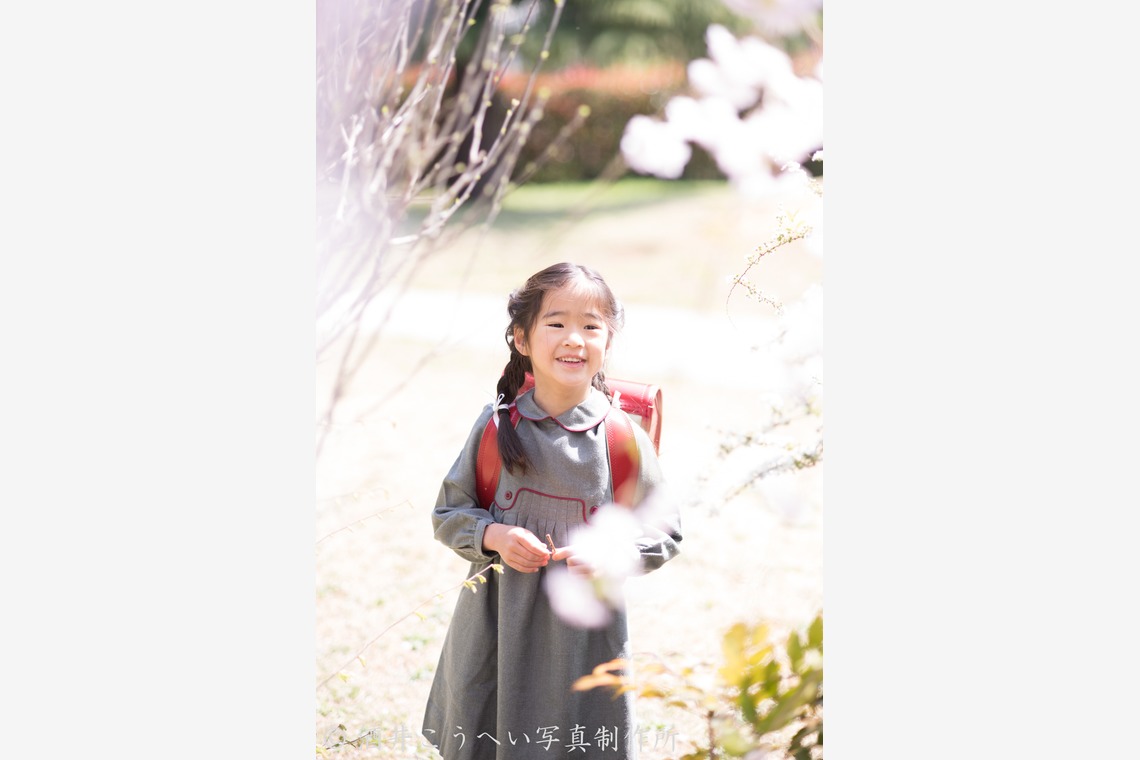 酒井こうへい写真製作所が撮影した「入学式・桜」の写真