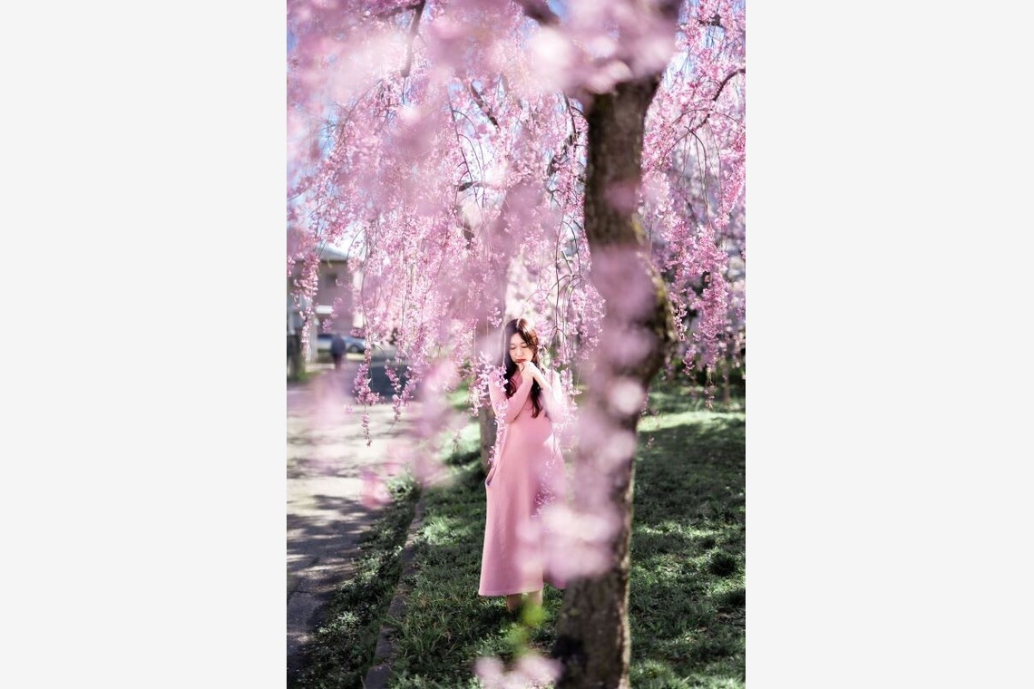 佐藤　克利が撮影した「宮城県、山形県、福島県、岩手県」の写真