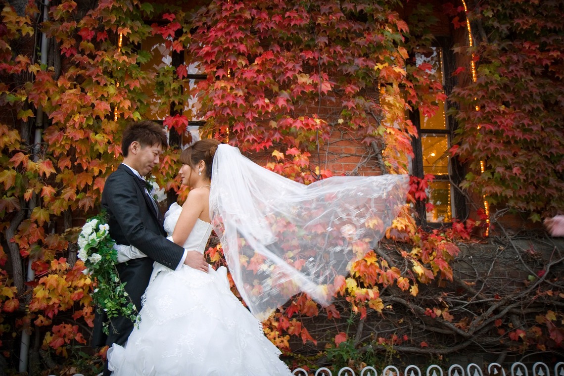 B'point photoが撮影した「フォトギャラリー」の写真