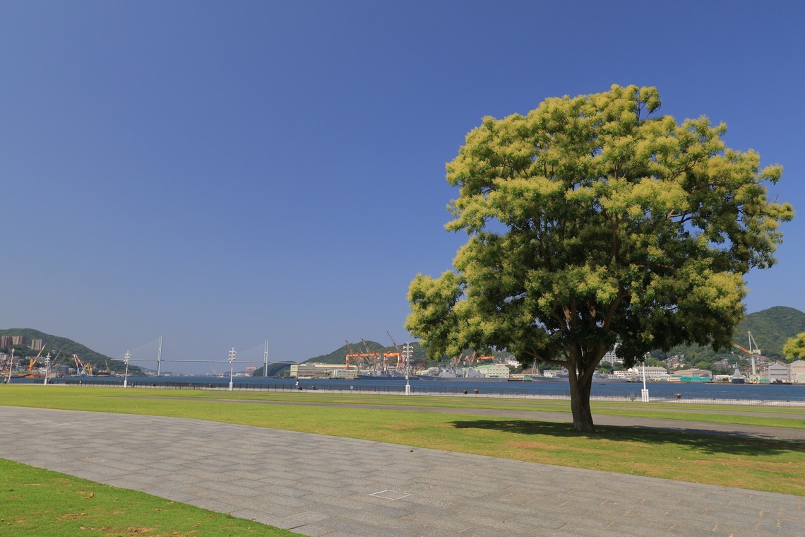 白石隆一郎が撮影した「旅スナップ」の写真