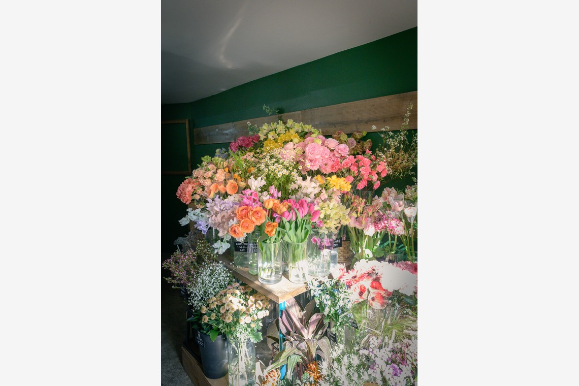 戸澤麻衣が撮影した「お花屋さんの撮影」の写真
