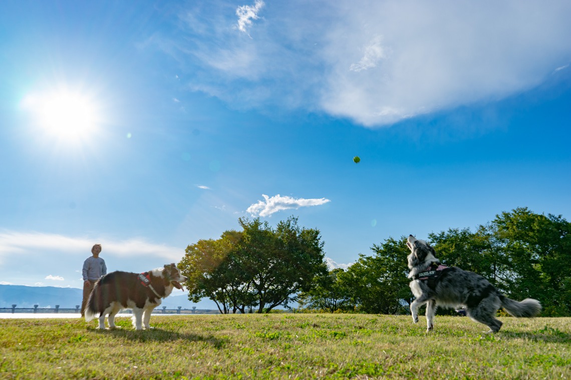 フォトグラフ山王