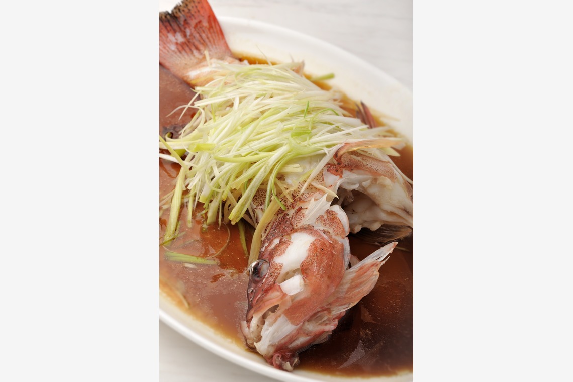 菊地事務所が撮影した「森羅万象」の写真