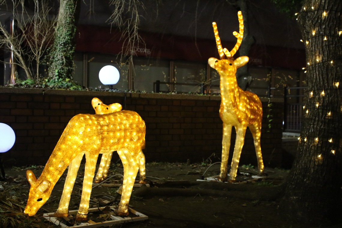 ＮＫ フォトエージェンシーが撮影した写真のアルバム「建物・風景写真③(多摩センター駅前イルミネーション）」