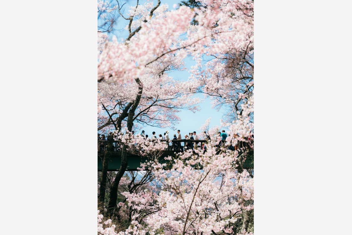 光画堂スタジオが撮影した写真のアルバム「旅行」