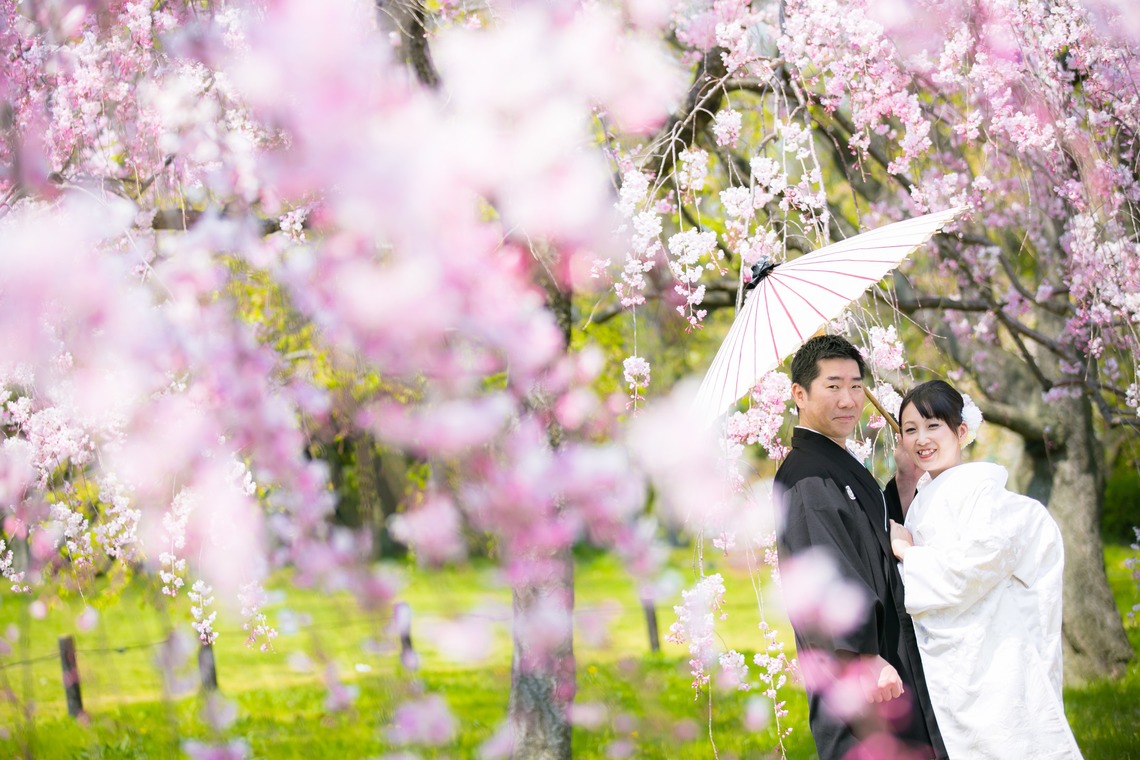 studio zeroが撮影した「大阪」の写真