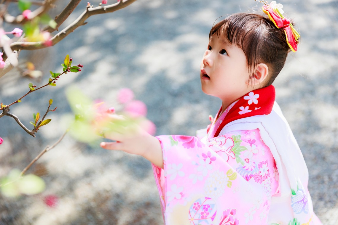森岡　史仁が撮影した「七五三・お宮参り・家族写真」の写真