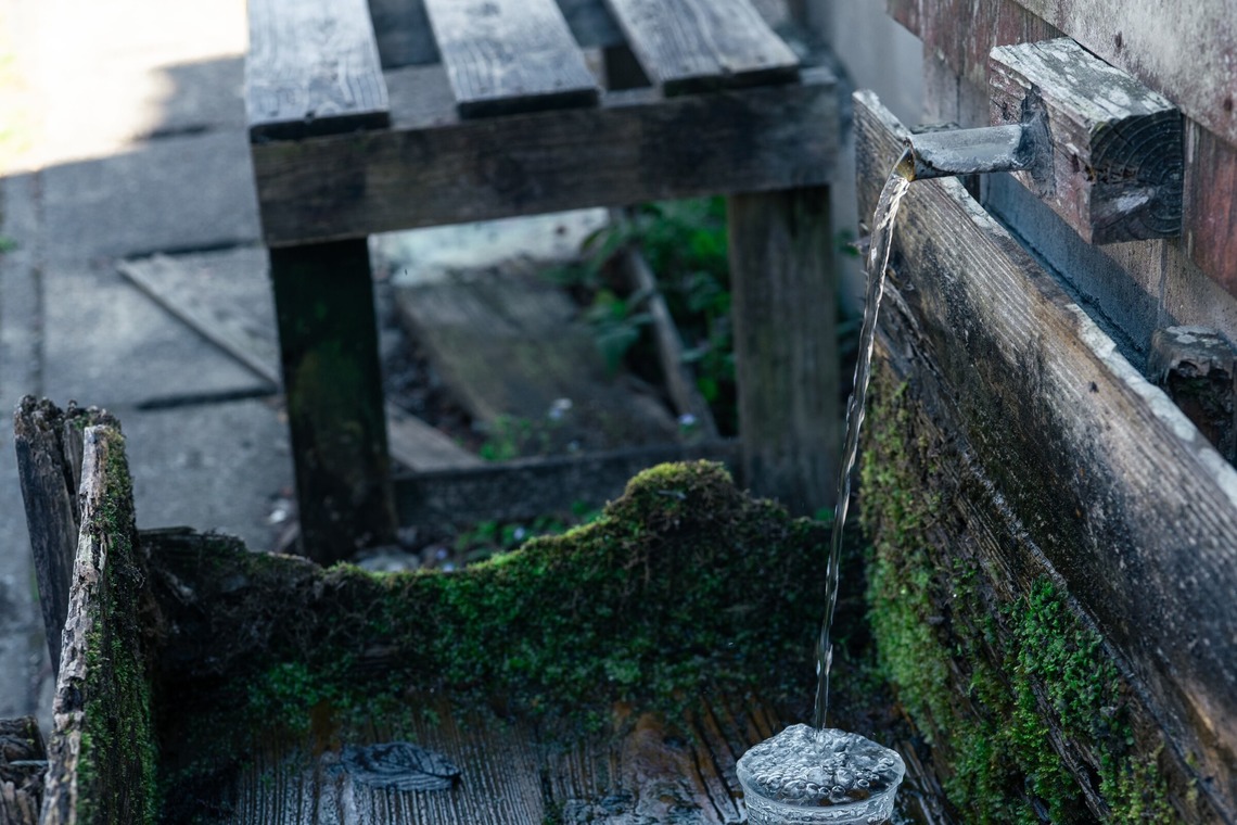 studio cactusが撮影した写真のアルバム「農家 - 風景／商品／人物」