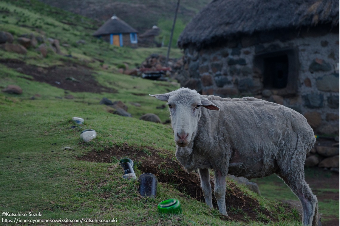 Katsuhiko Suzukiが撮影した写真のアルバム「レソト王国」