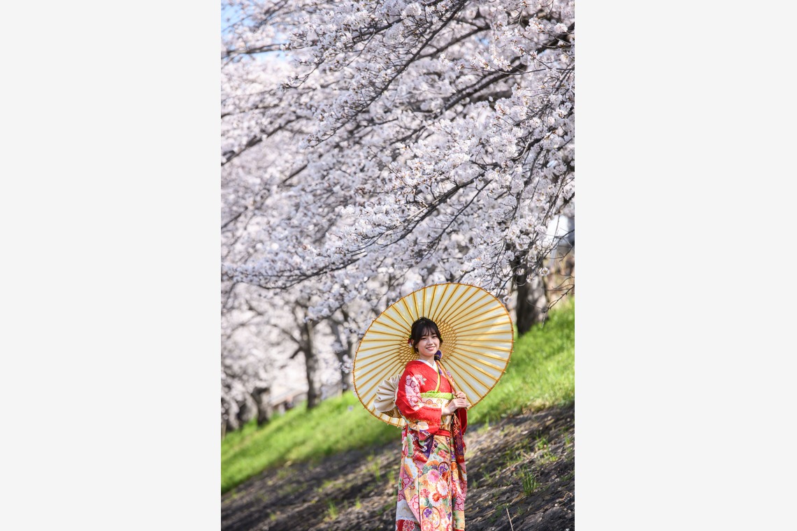 Visual Imagingが撮影した写真のアルバム「振袖桜ロケーション撮影」