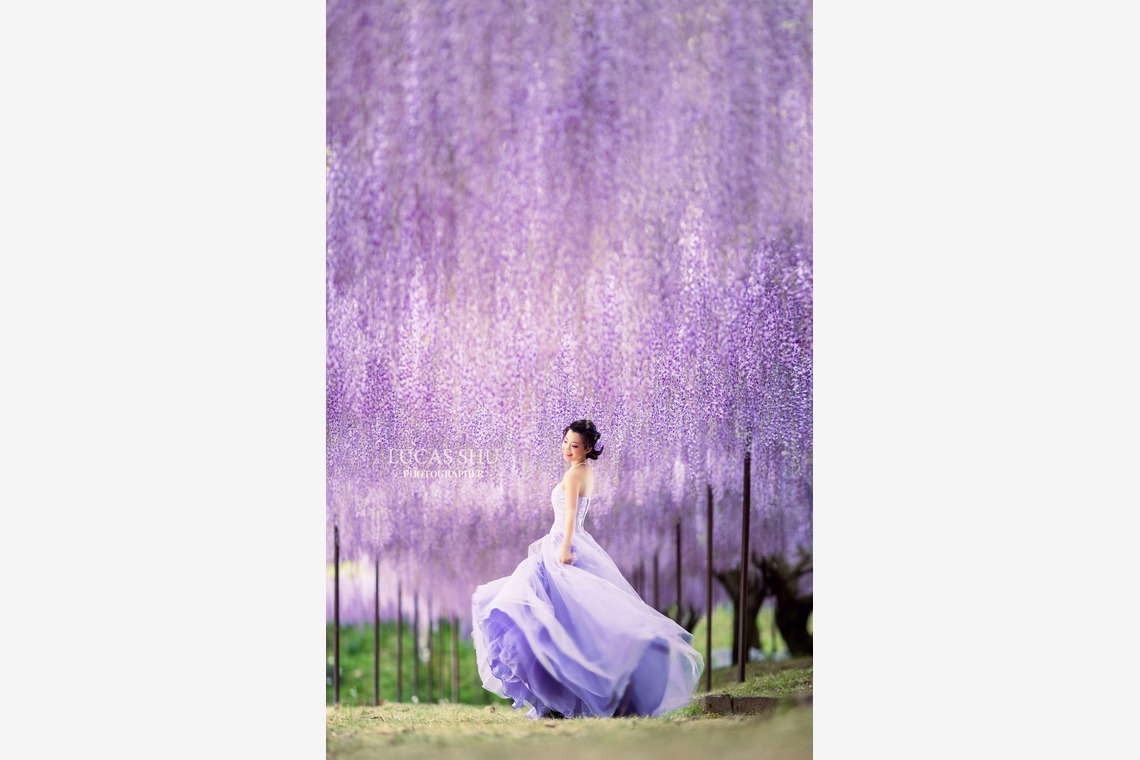 Lucas Shu Photographyが撮影した写真のアルバム「Lucas Shu 作品集」