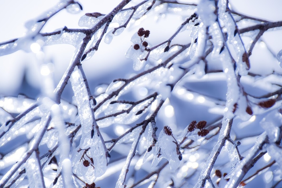 小野友輔が撮影した「山の写真」の写真