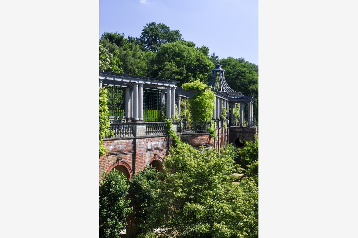 Lucky Sliver Sixpenceが撮影した「プラン名：Romantic Park(ロケーション参考写真）」の写真