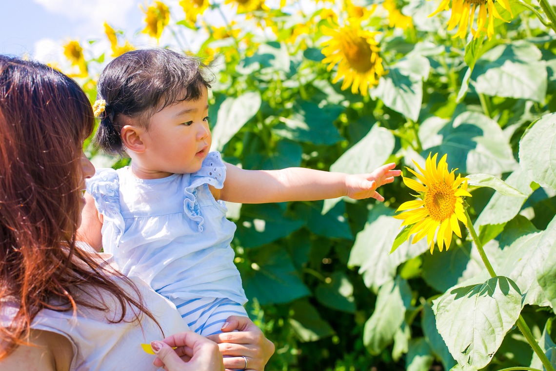 タカラモノ.foto　群馬の出張撮影カメラマンが出張撮影した家族写真(キッズ,ベビーフォト)などが写った「ひまわり畑でベビーフォト」の家族写真
