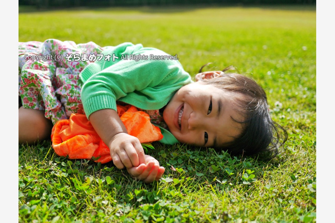 そらまめフォトが撮影した「」の写真