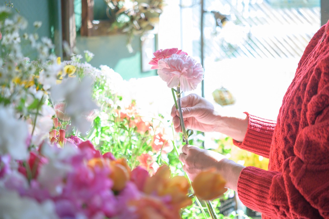 戸澤麻衣が撮影した写真のアルバム「お花屋さんの撮影」