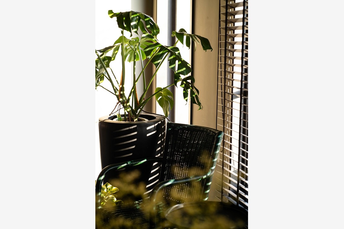 舘　典志が撮影した「店舗 外観/内観」の写真