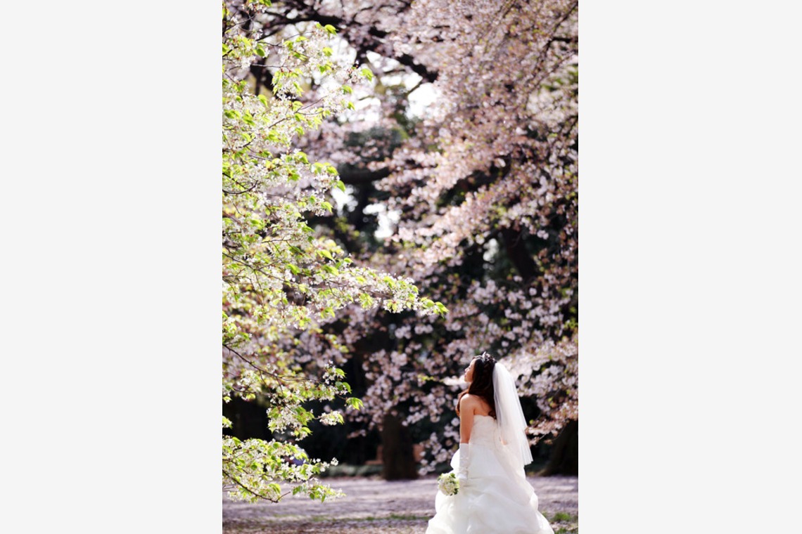 ほんとうにかわいい結婚写真ecoo（エクー）が撮影した写真のアルバム「ロケーション/洋装」