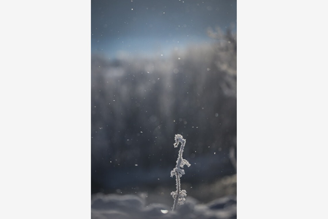 芳賀 翔大が撮影した写真のアルバム「北海道」