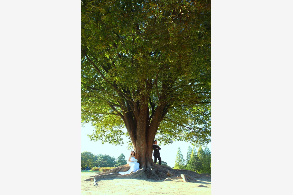 Photo of  taken by WEDDING AVENUE