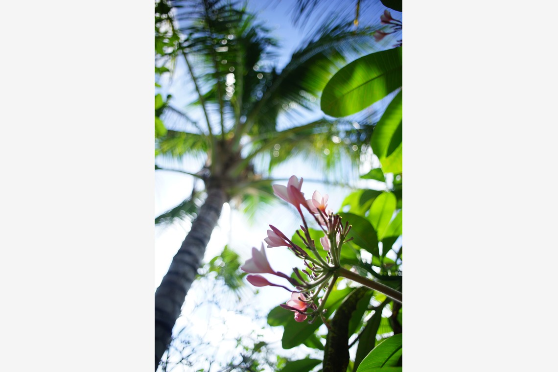 難波卓美が撮影した写真のアルバム「街角スナップ」