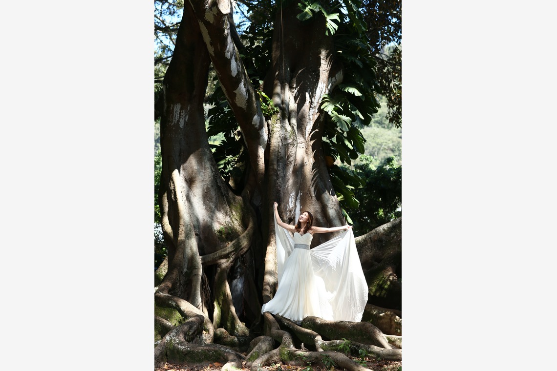 Album of the Wedding, Bridal taken by 2Cconcept,inc - 