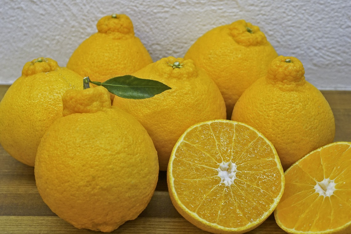 PhotoBaseありよしが撮影した「宣材写真」の写真