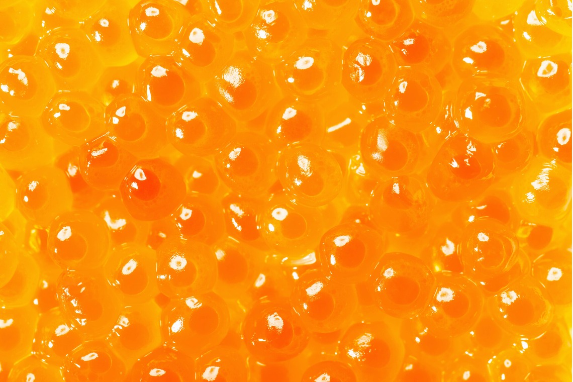 スタジオ11が撮影した写真のアルバム「様々な料理写真」