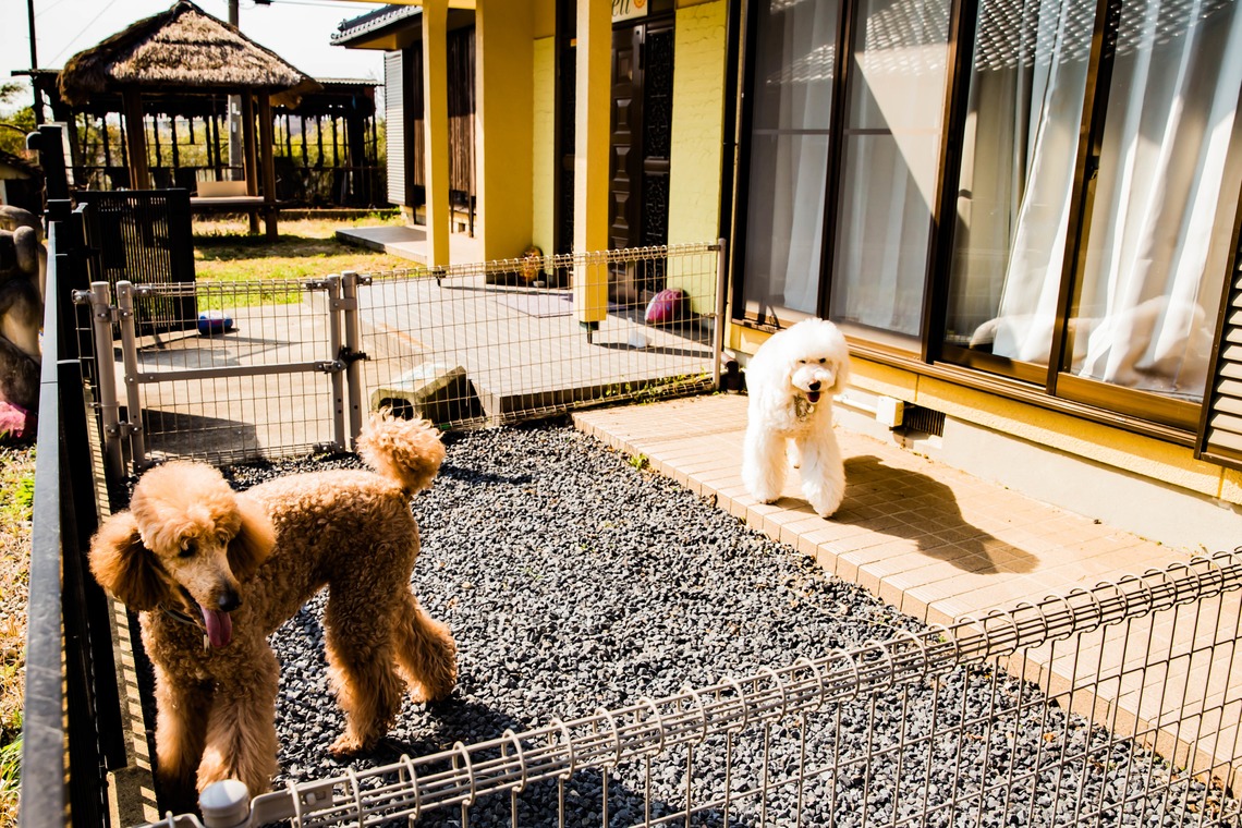 MTワークスが撮影した写真のアルバム「企業撮影」