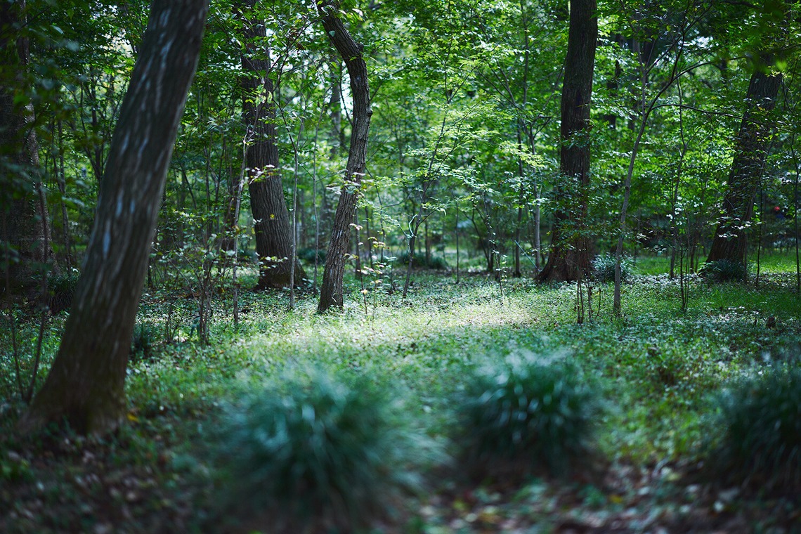 Shun Kanazawaが撮影した写真のアルバム「Life Style」