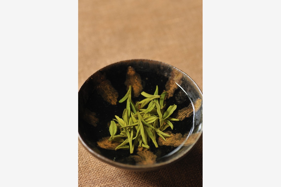 菊地事務所が撮影した「森羅万象」の写真