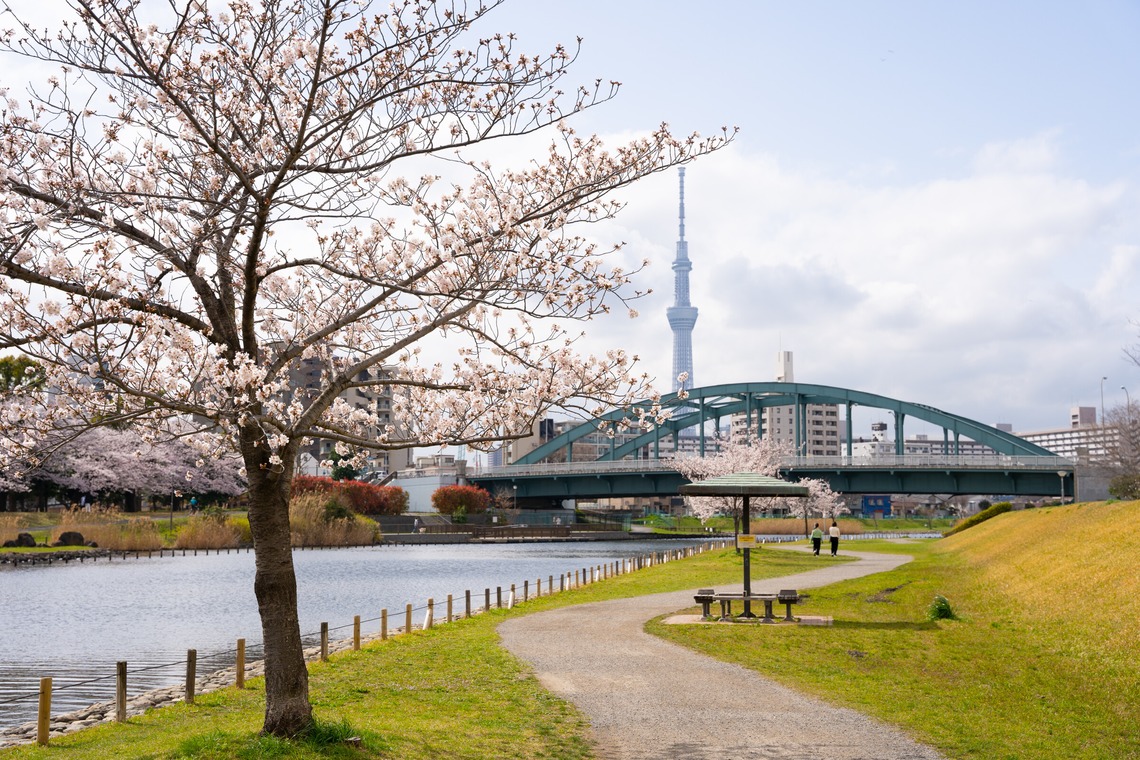 いんかが撮影した「風景.a」の写真