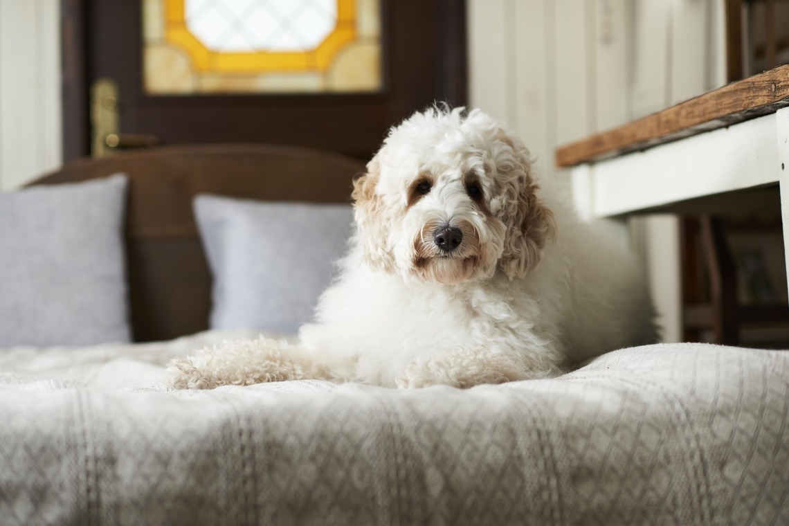 大橋裕紀が撮影した「企業様ホームページ用商品撮影」の写真