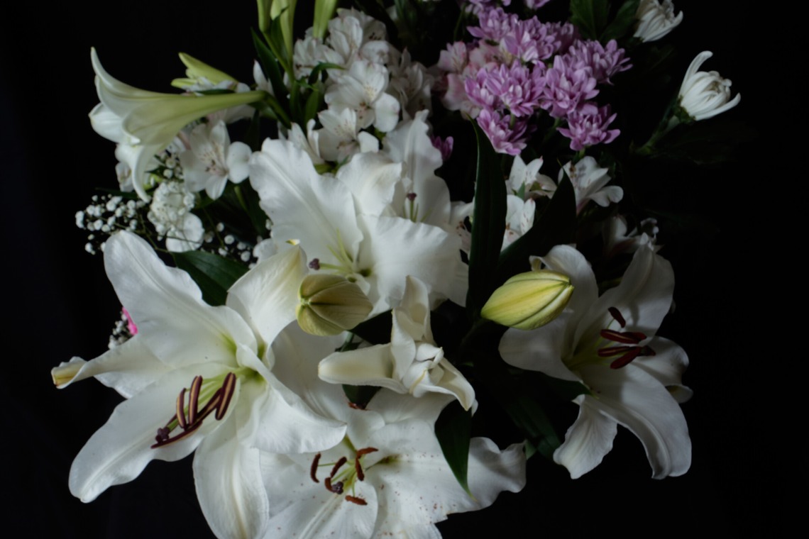 blankが撮影した「商品撮影」の写真