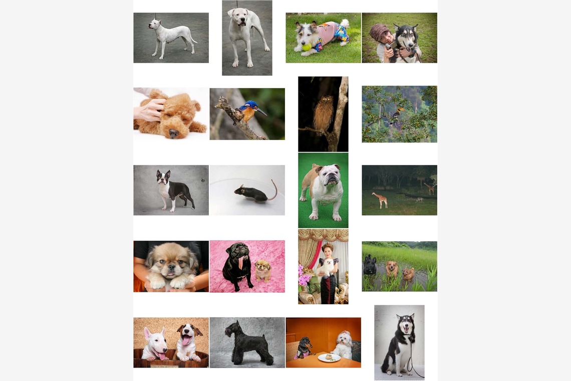 オーロラスタジオが撮影した「作例」の写真