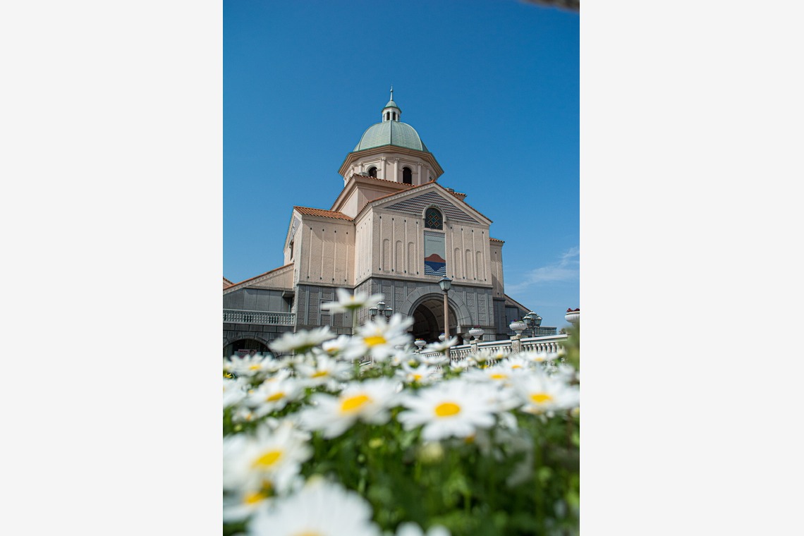 水嶋 将太が撮影した「思い出。」の写真