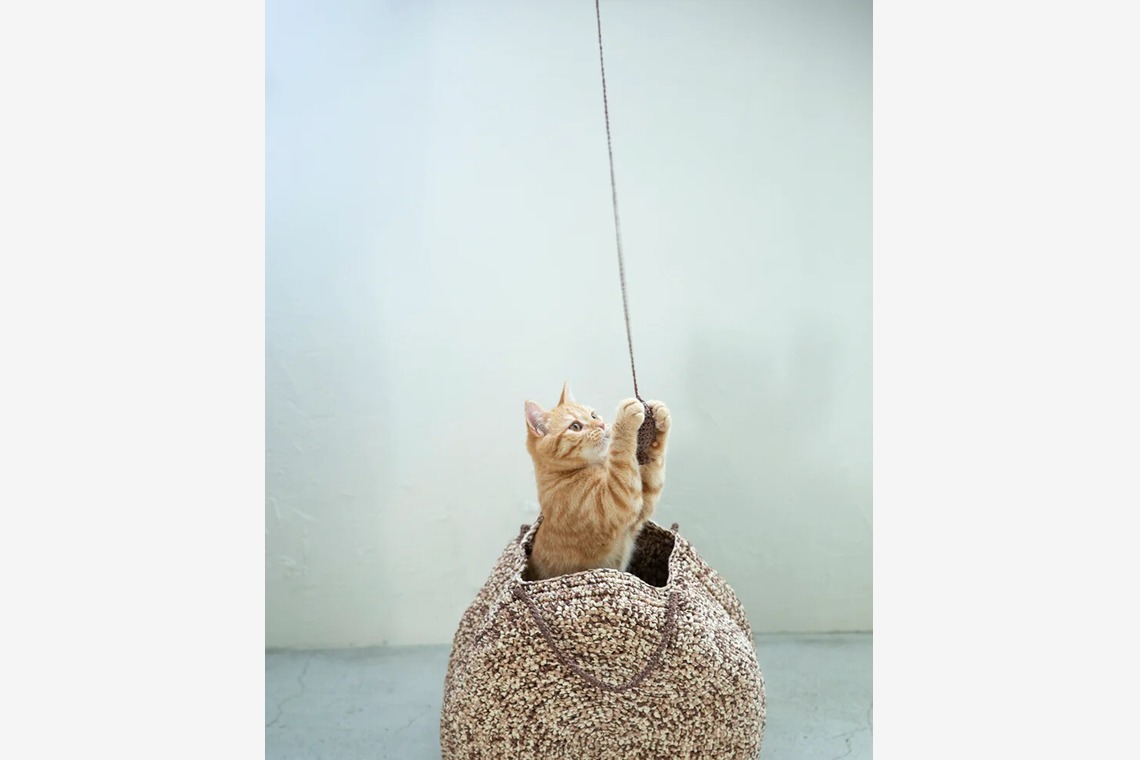 白井由香里写真事務所が撮影した写真のアルバム「動物」