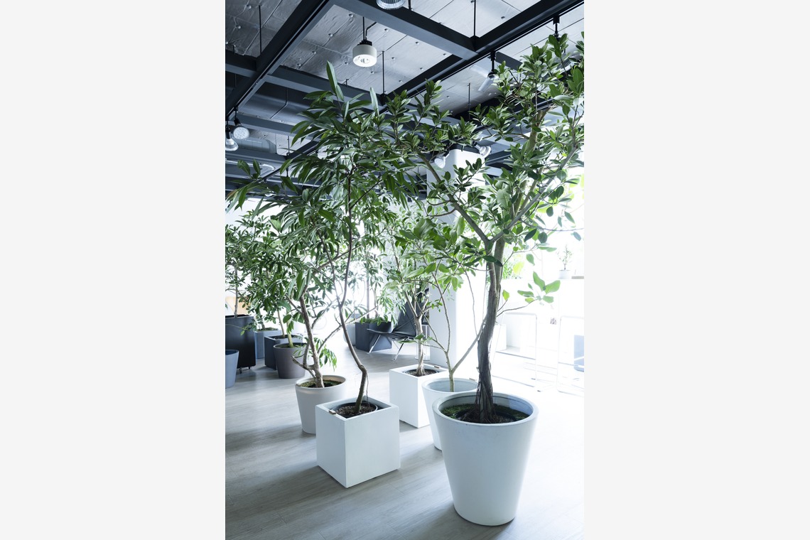 三浦希衣子が撮影した「雑誌お店紹介」の写真