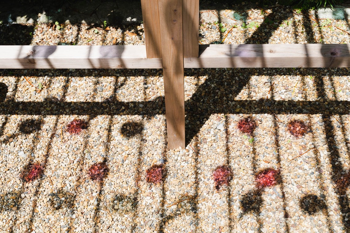 三谷 朋也が撮影した「日本の風景」の写真