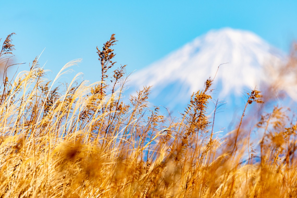 スタジオファンタスが撮影した「富士山」の写真