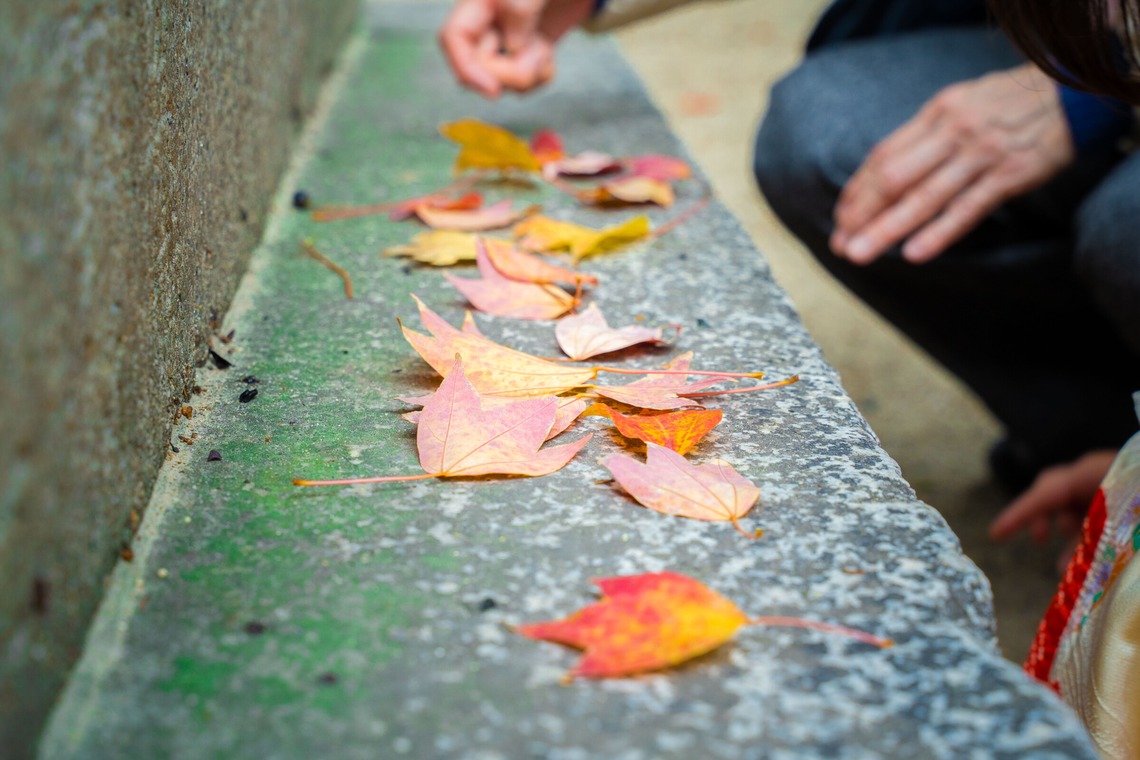 田中愛実が撮影した「L'angoloファミリー七五三撮影」の写真