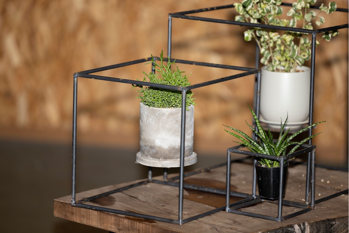 梅田　紫邑が撮影した写真のアルバム「物撮り撮影」